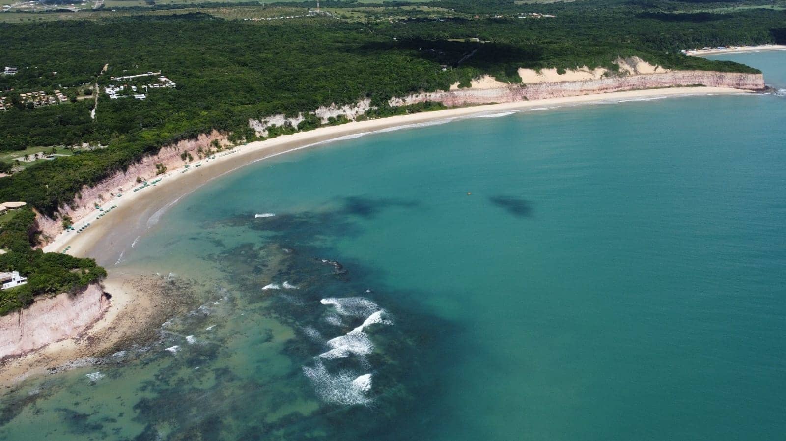 Baia dos Golfinhos: See Dolphins for Free